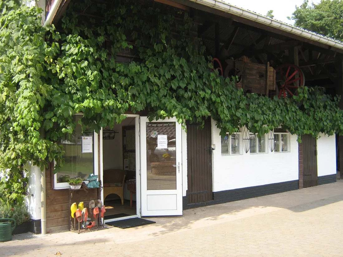 camping-st-jorishoeve-sterksel-an4yo