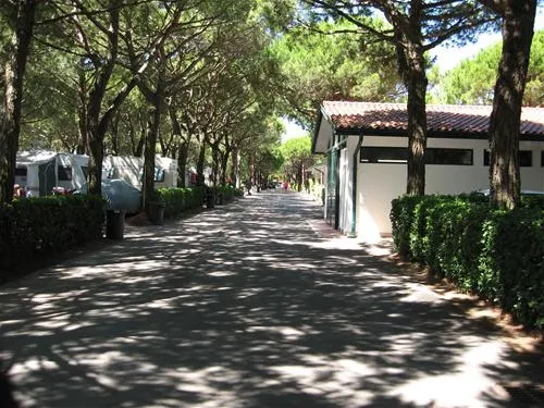 camping-enzo-stella-maris-cavallinotreporti-7trxc