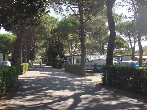 camping-enzo-stella-maris-cavallinotreporti-pu3vq