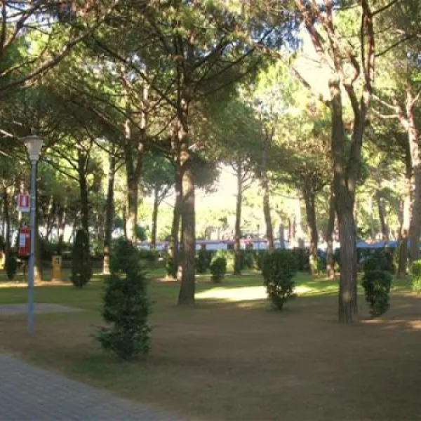 camping-enzo-stella-maris-cavallinotreporti-uwamo