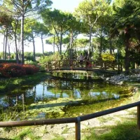 camping-enzo-stella-maris-cavallinotreporti-y6yhj