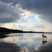 campingpark-himmelpfort-himmelfortberlin-y2jsa