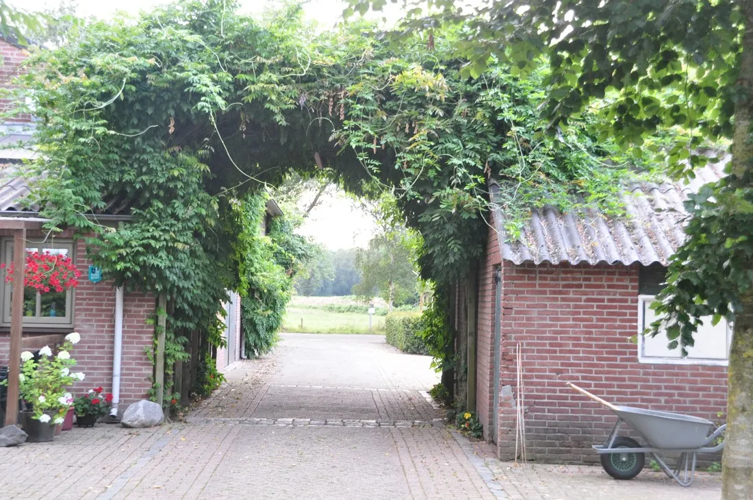 camping-pietershoek-hilvarenbeek-086hk
