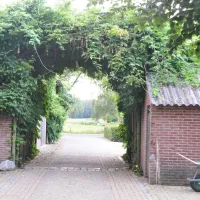 camping-pietershoek-hilvarenbeek-086hk