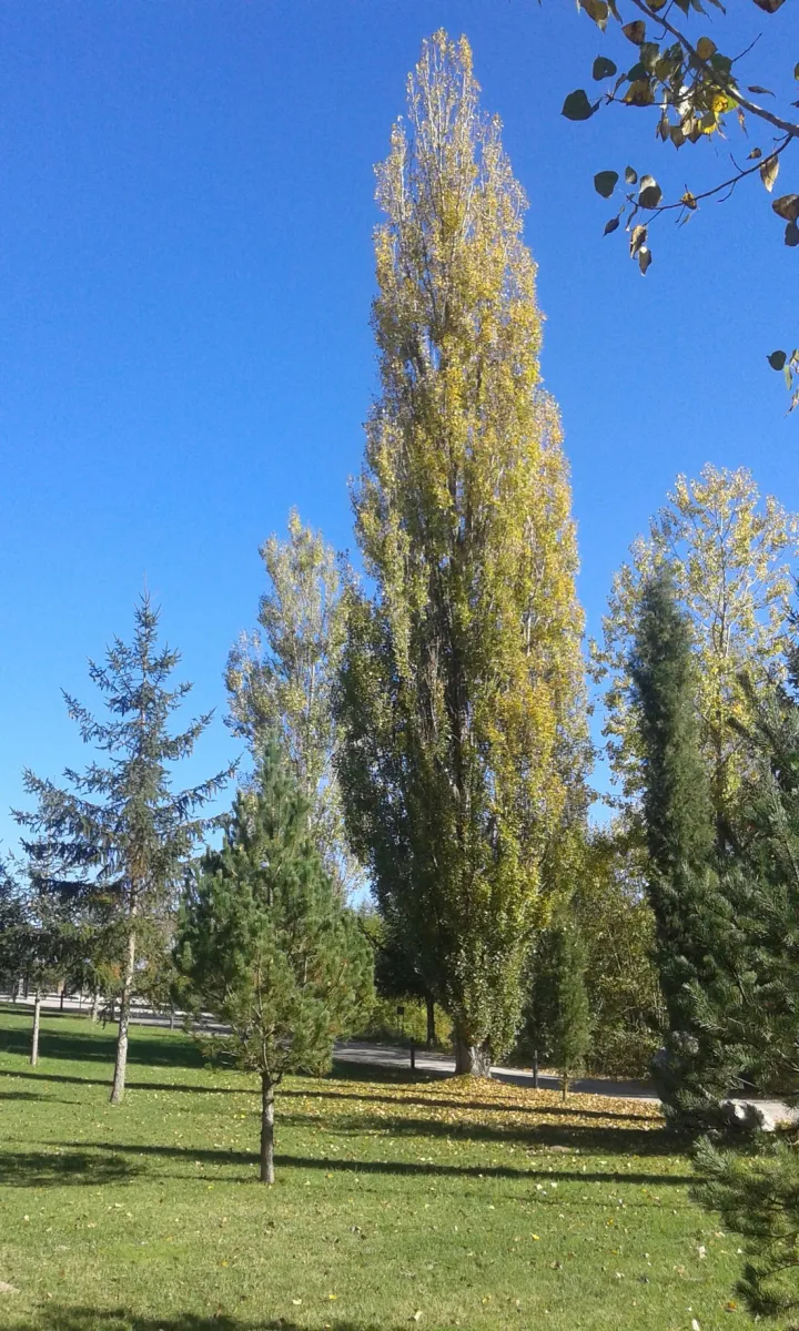 camping-el-pirinenc-campdevnol-tlbhz