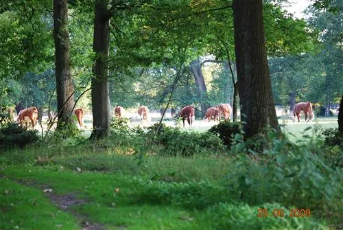 camping-de-veldscholte-buurse-gemhaaksbergen-buql2
