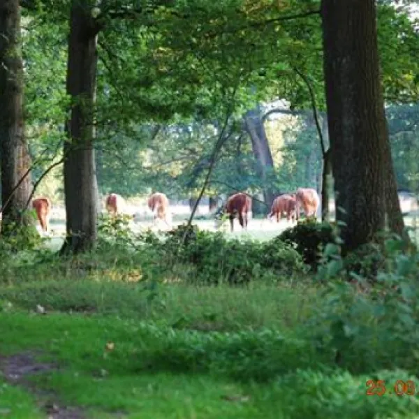 camping-de-veldscholte-buurse-gemhaaksbergen-buql2
