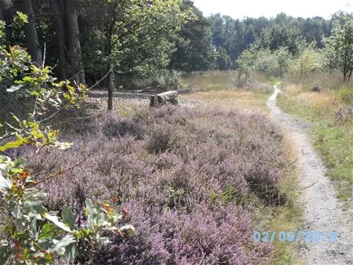 camping-de-veldscholte-buurse-gemhaaksbergen-etwxs