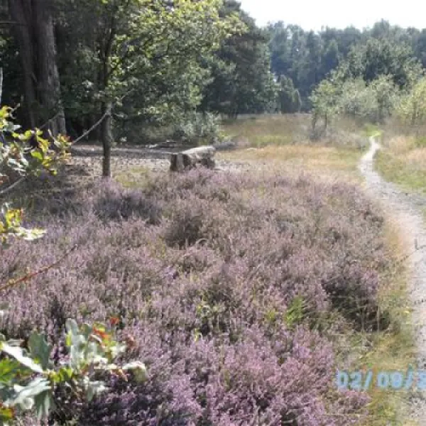 camping-de-veldscholte-buurse-gemhaaksbergen-etwxs