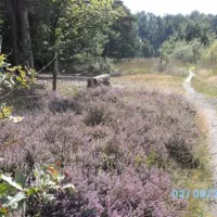 camping-de-veldscholte-buurse-gemhaaksbergen-etwxs
