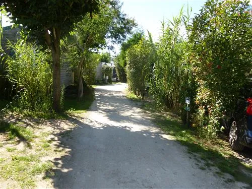 camp-du-soleil-ars-en-r-abgbc