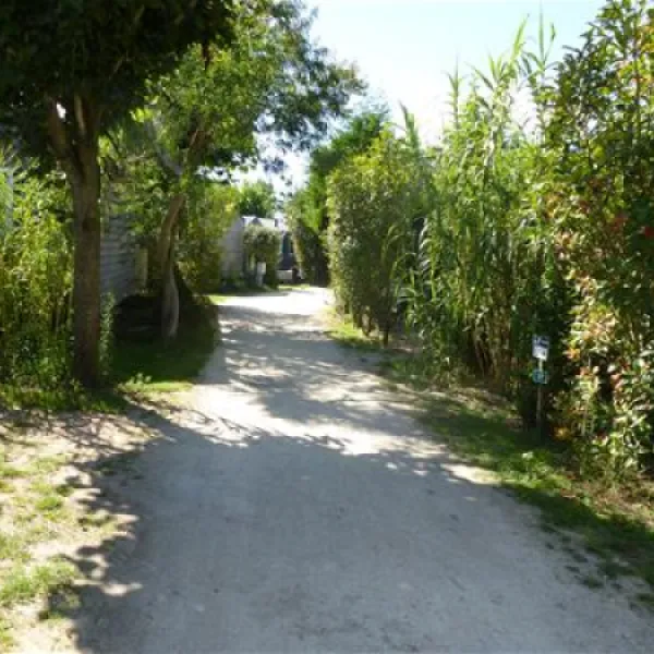 camp-du-soleil-ars-en-r-abgbc