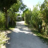 camp-du-soleil-ars-en-r-abgbc
