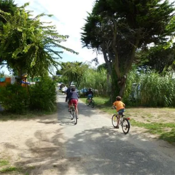 camp-du-soleil-ars-en-r-ewmtv