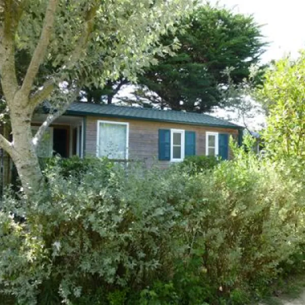camp-du-soleil-ars-en-r-xxi1y