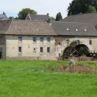familiecamping-de-gele-anemoon-wijlre-1grob