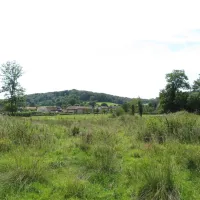 familiecamping-de-gele-anemoon-wijlre-fjezk