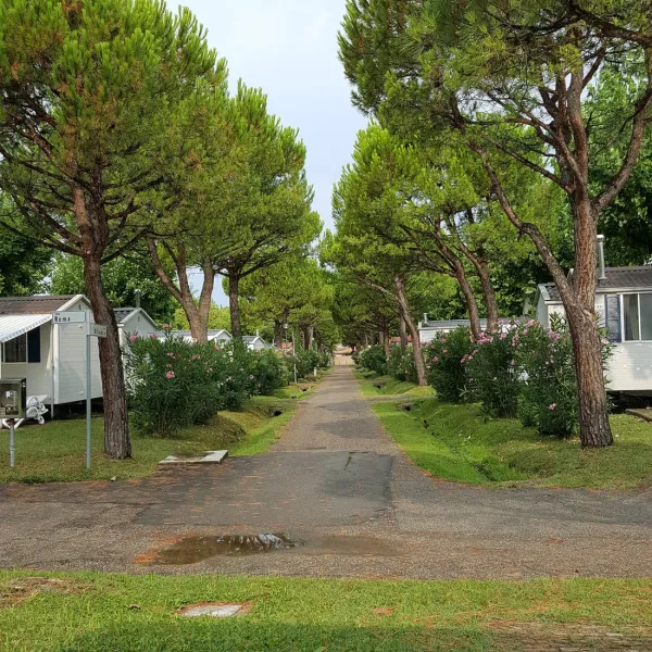 campeggio-del-garda-peschiera-del-garda-o2jl2