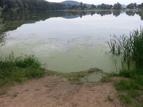 erholungsgebiet-doktorsee-rinteln-8y1j9