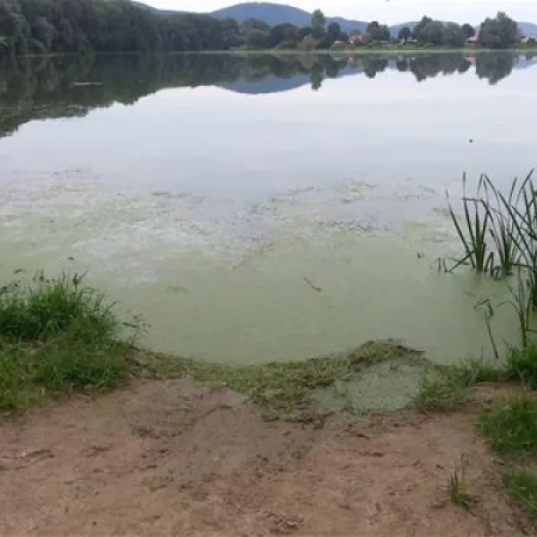 erholungsgebiet-doktorsee-rinteln-8y1j9