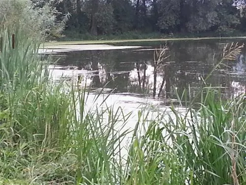 erholungsgebiet-doktorsee-rinteln-97ts2