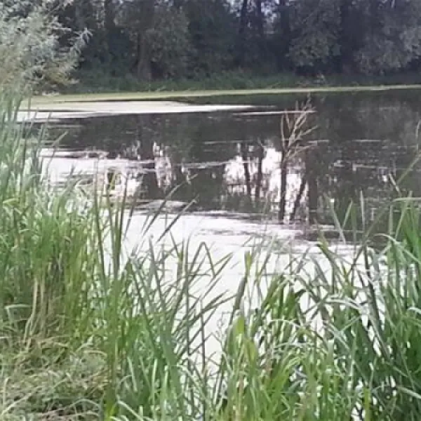 erholungsgebiet-doktorsee-rinteln-97ts2