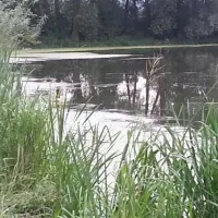 erholungsgebiet-doktorsee-rinteln-97ts2