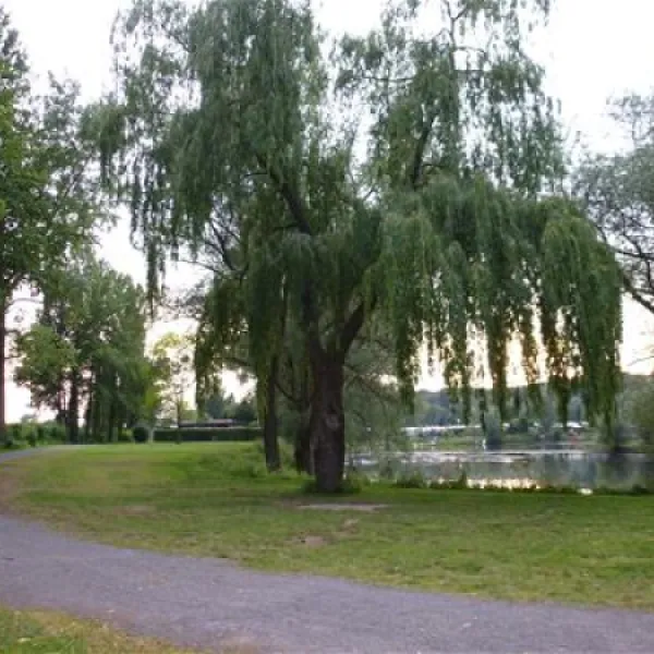 erholungsgebiet-doktorsee-rinteln-taqh1