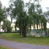 erholungsgebiet-doktorsee-rinteln-taqh1