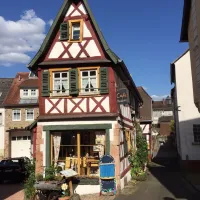 camping-am-knigsberg-wolfstein-lkhyk