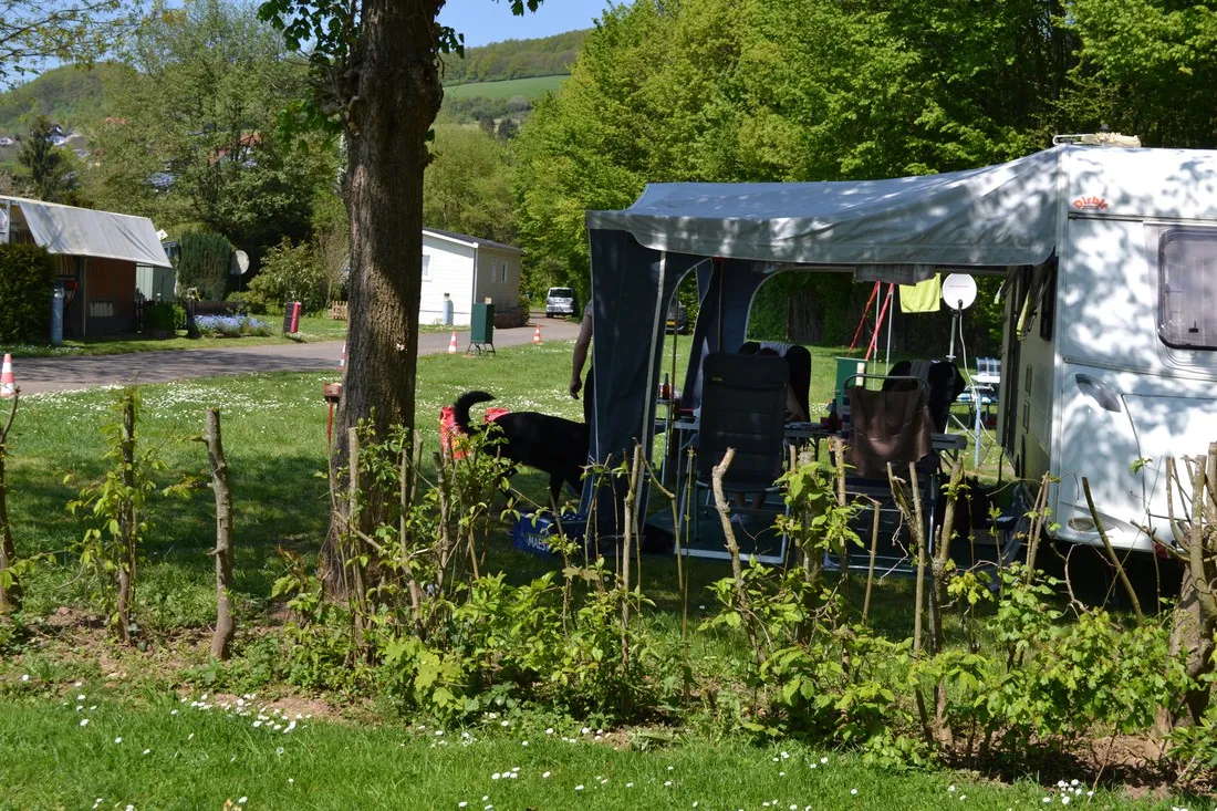 camping-am-knigsberg-wolfstein-o8m3t