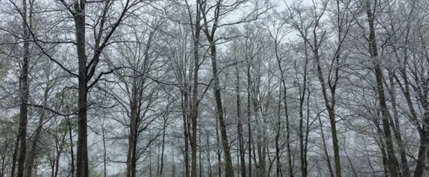 Rocky Fork Ranch Resort