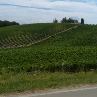 agricaming-poggio-ai-pini-certaldo-20usg