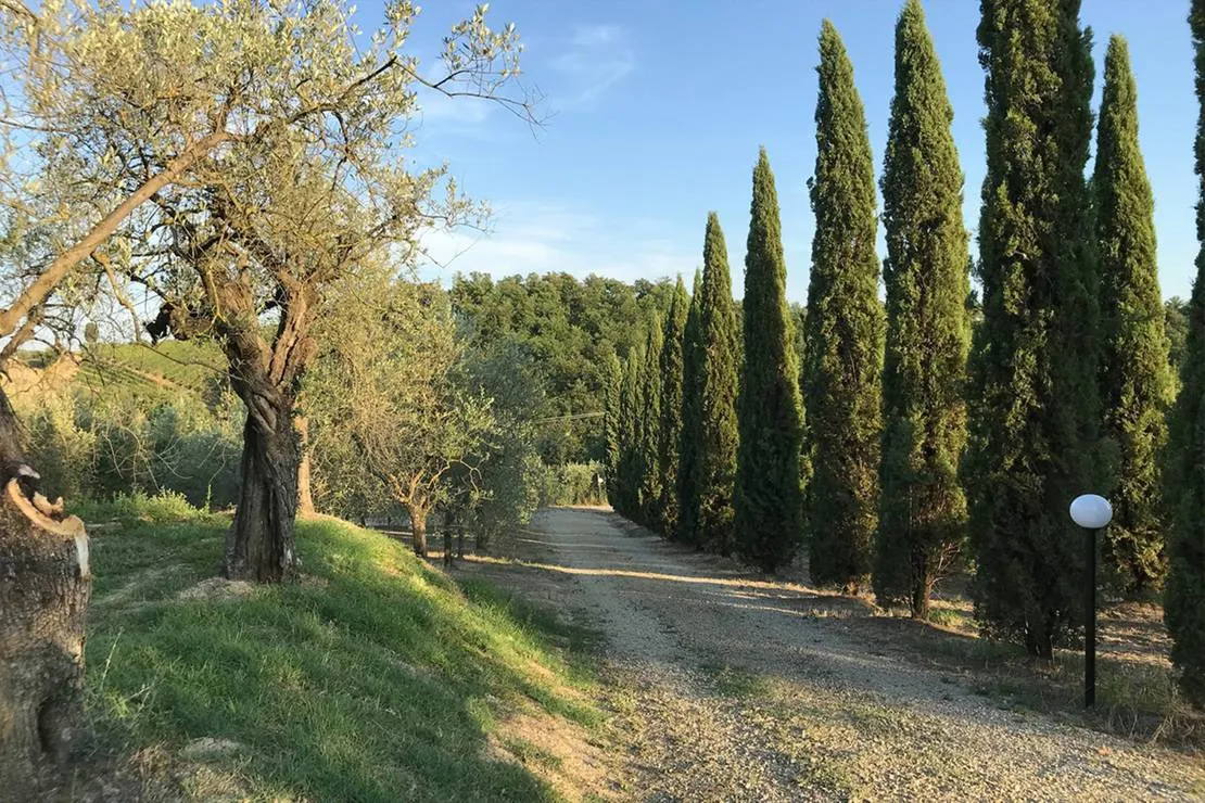 agricaming-poggio-ai-pini-certaldo-bvt7k