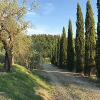 agricaming-poggio-ai-pini-certaldo-bvt7k