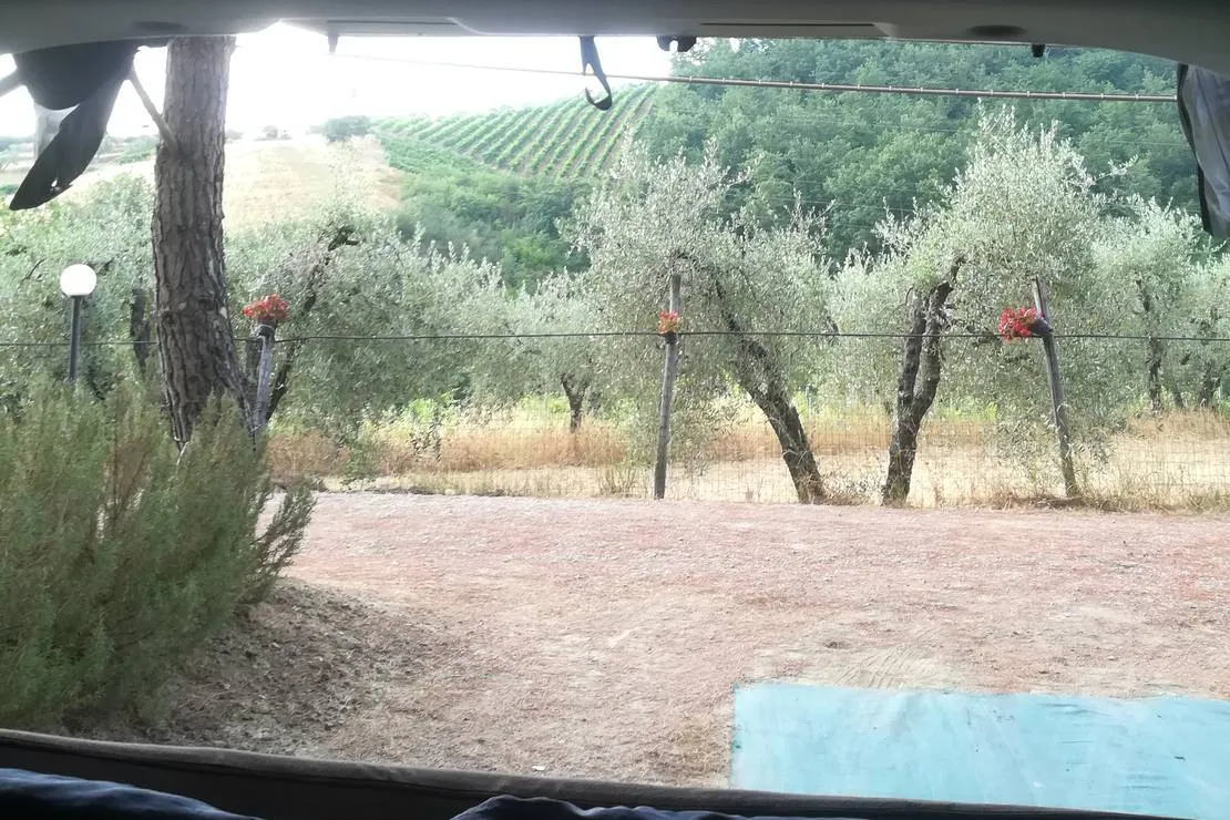 agricaming-poggio-ai-pini-certaldo-kljn1