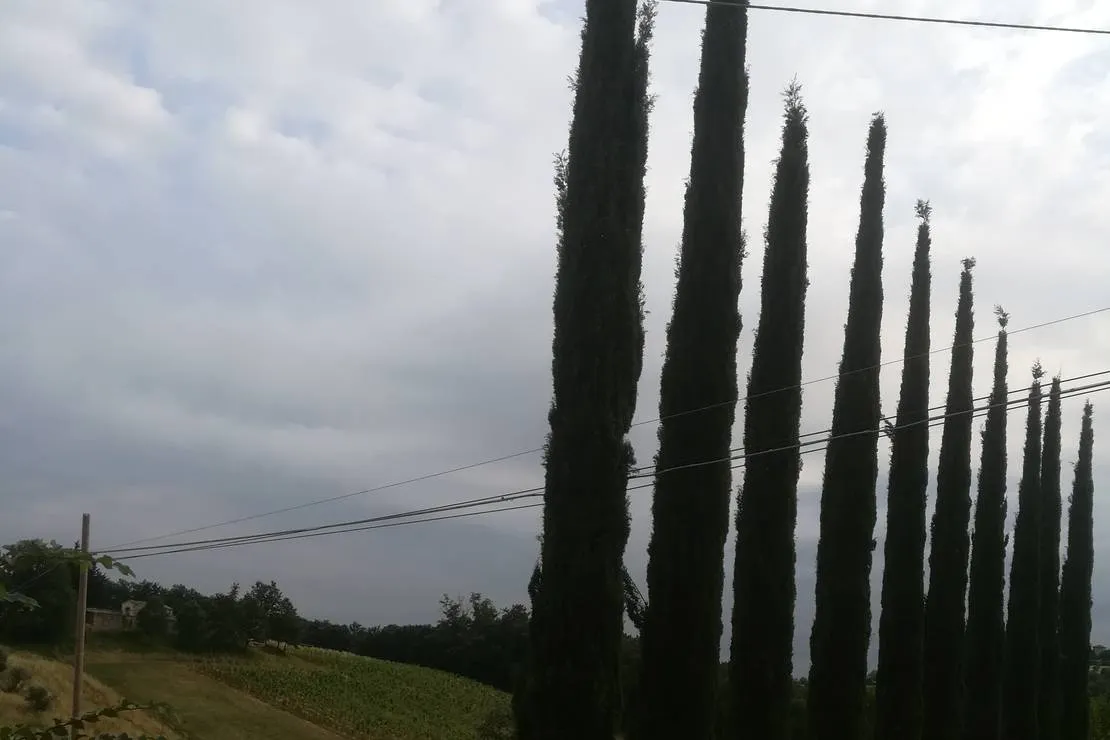 agricaming-poggio-ai-pini-certaldo-zlncp