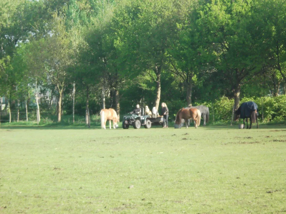 natuurkampeerterrein-t-beekdal-chaam-xpayy