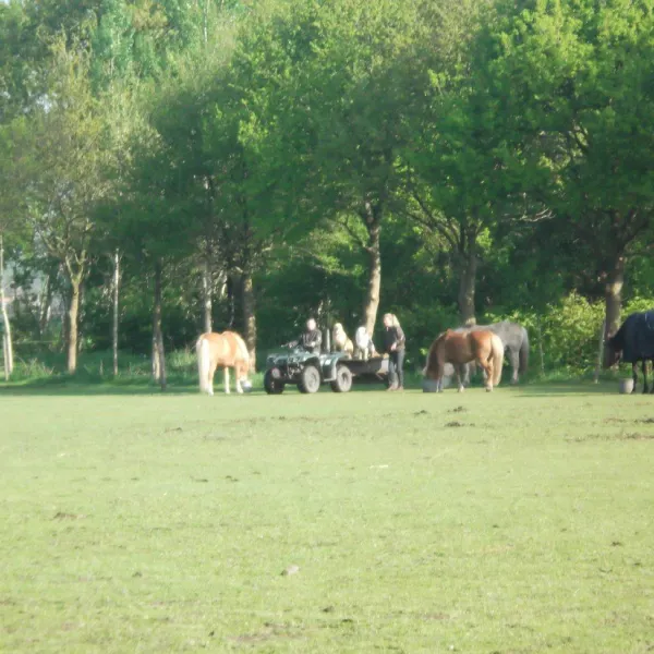 natuurkampeerterrein-t-beekdal-chaam-xpayy