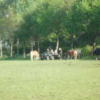 natuurkampeerterrein-t-beekdal-chaam-xpayy