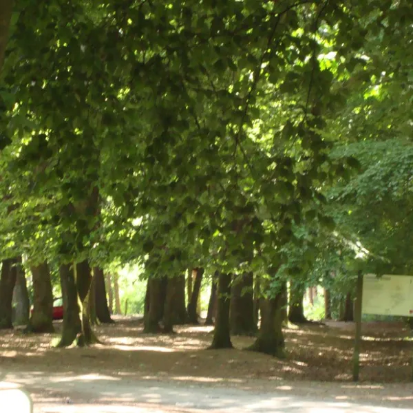 malpertuus-lembeke-rfvov