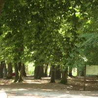malpertuus-lembeke-rfvov