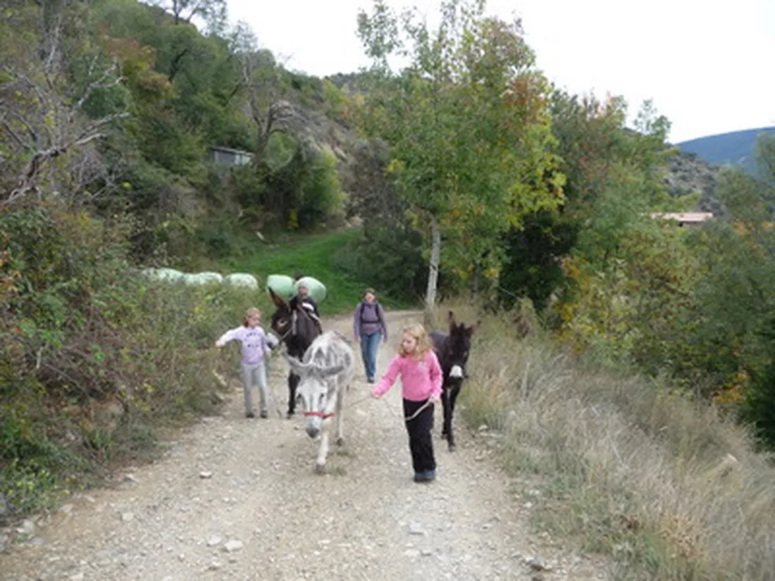 borda-castell-soriguera-escos-nqtn8