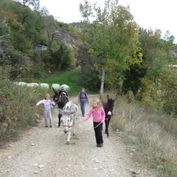 borda-castell-soriguera-escos-nqtn8