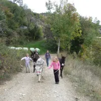 borda-castell-soriguera-escos-nqtn8