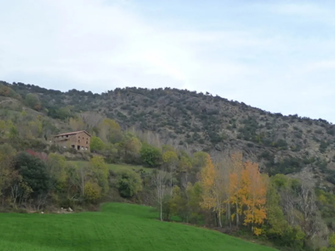 borda-castell-soriguera-escos-tshe6