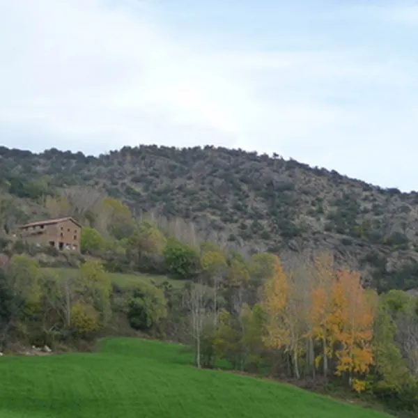 borda-castell-soriguera-escos-tshe6