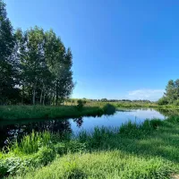 bij-roozen-op-leijland-minicamping-vorstenbosch-7umhu