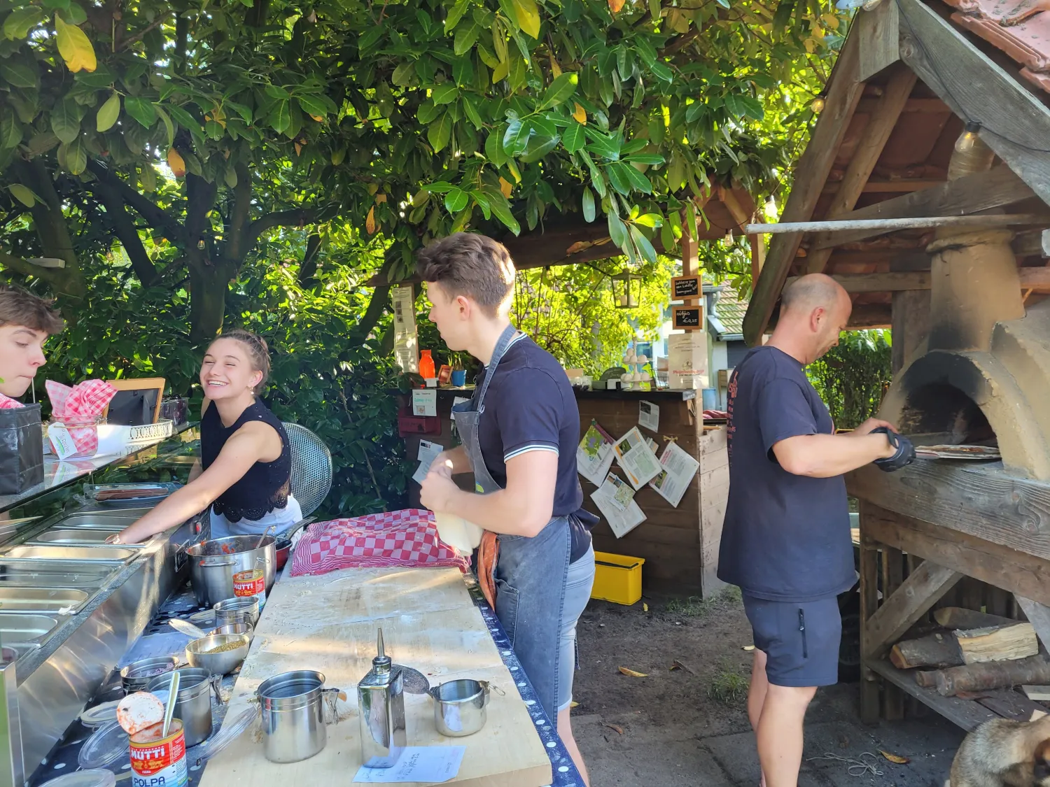 bij-roozen-op-leijland-minicamping-vorstenbosch-bbzl2