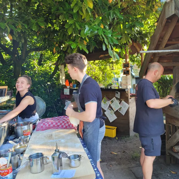 bij-roozen-op-leijland-minicamping-vorstenbosch-bbzl2